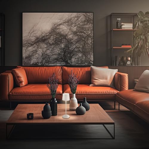 Briloner - Lampada da tavolo a LED senza fili IP44 con touch, dimmerabile, batteria ricaricabile, USBC, lampada da scrivania senza fili, lampada da comodino ricaricabile, 11x33 cm, bianco - Funzionalità e accessori